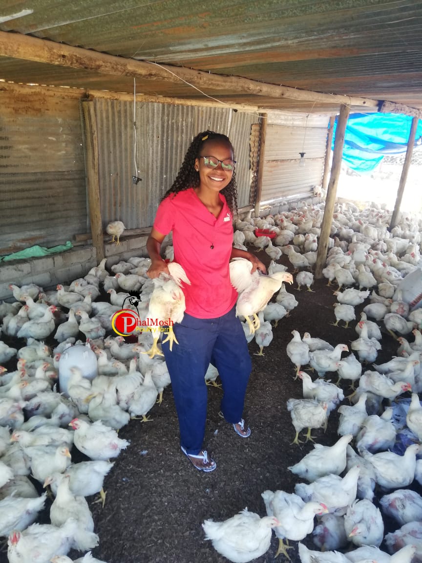 Phalane believes that farming is the country's economic cornerstones