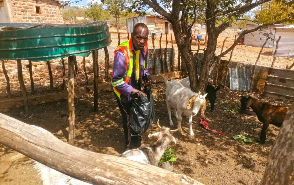 drought in Limpopo Limpopo Farmers Near Musina Stop Growing