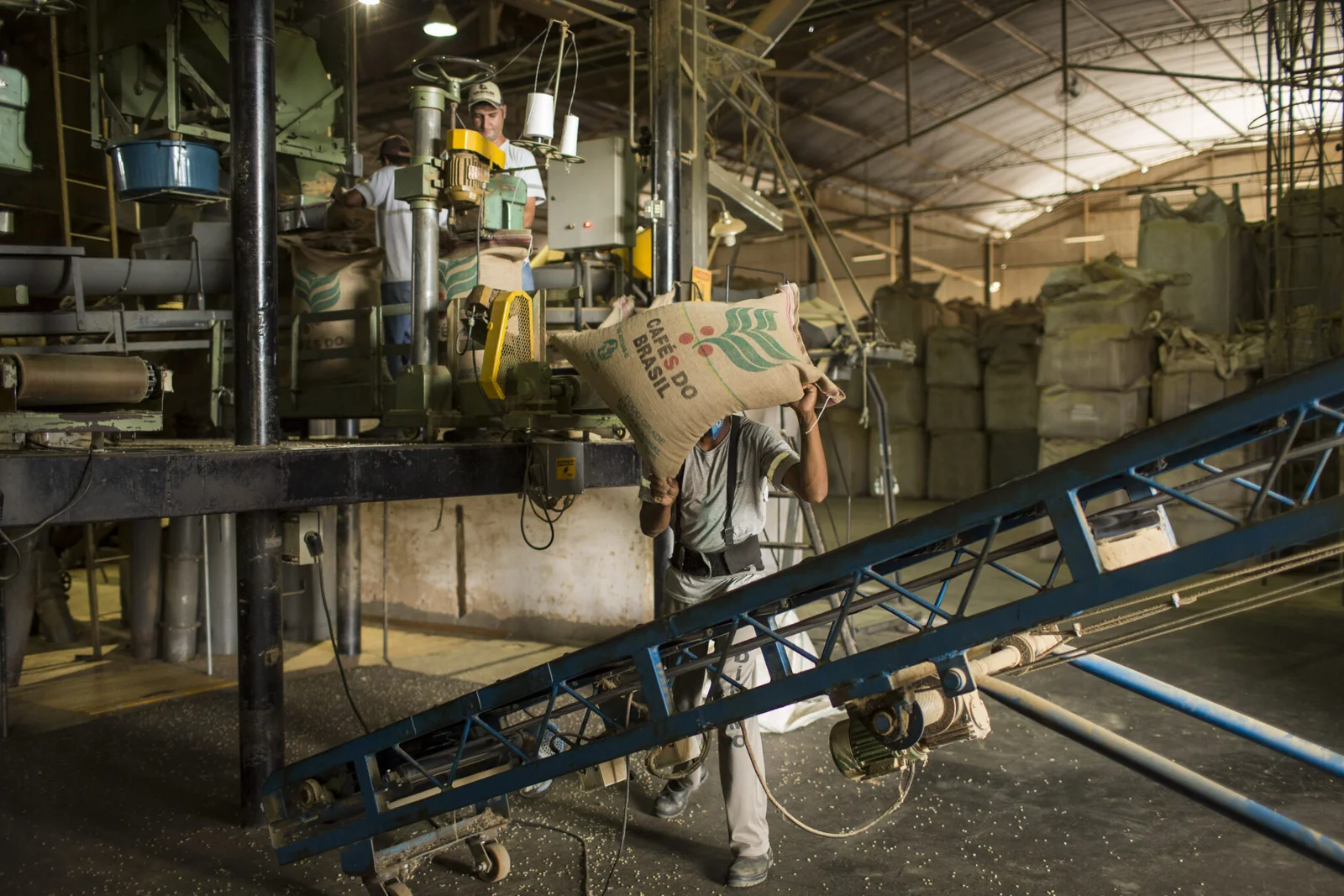 arabica coffee prices Coffee Prices Stay Near Pound Exchange