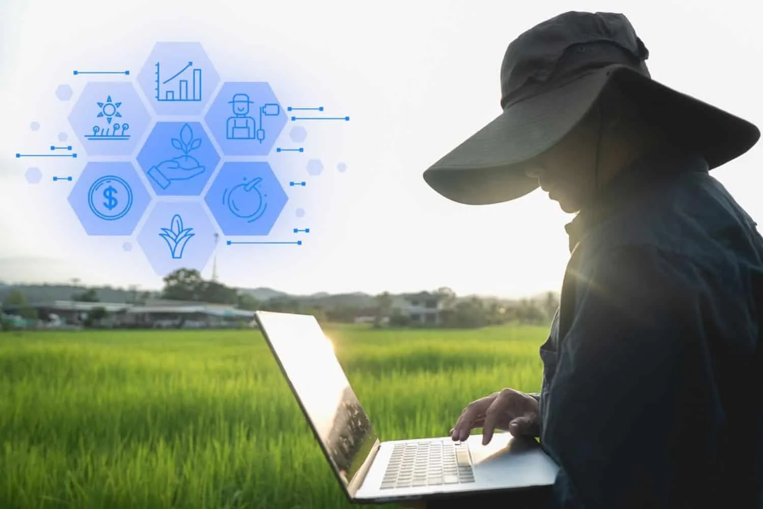 farms cyberattacks Cyberattacks Pose Growing Risk South African