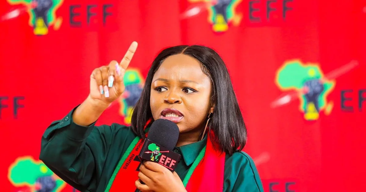 Naledi Chirwa arrest EFF Naledi Chirwa Opens Assault Case
