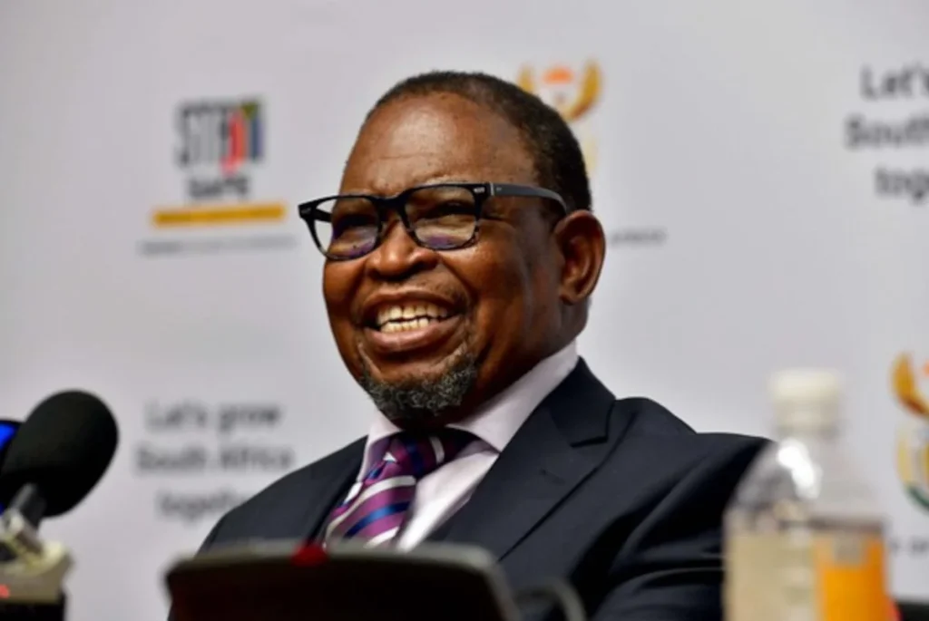 mid-term budget Godongwana Present Mid Term Budget Fuel
