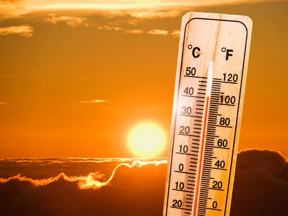 KZN heatwaves drought KZN MEC Buthelezi Tells Residents Prepare