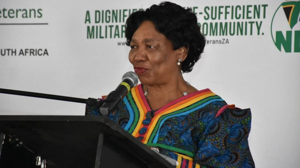 defence department cyberattacks Motshekga Explains How Defence Department Fights