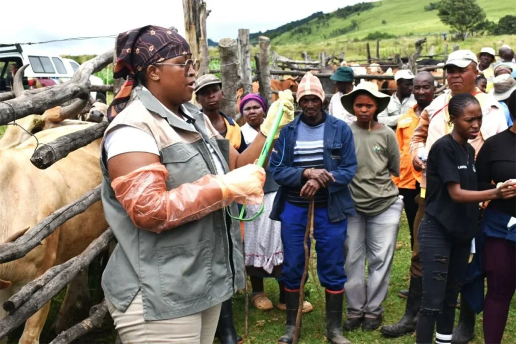 communal livestock farmers MUT Expert Shows Royal Show Farmers