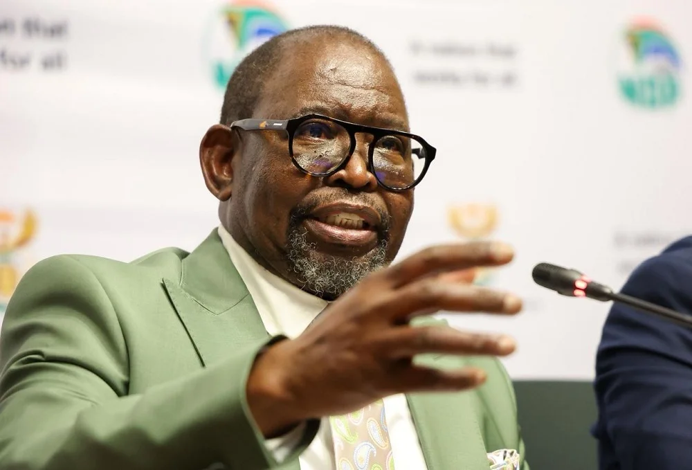 mini budget Nedbank Economist Expects Strong Tax Collections