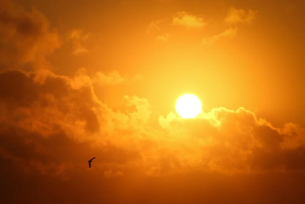 South African Weather Service Rain Forecast Five Provinces While Western