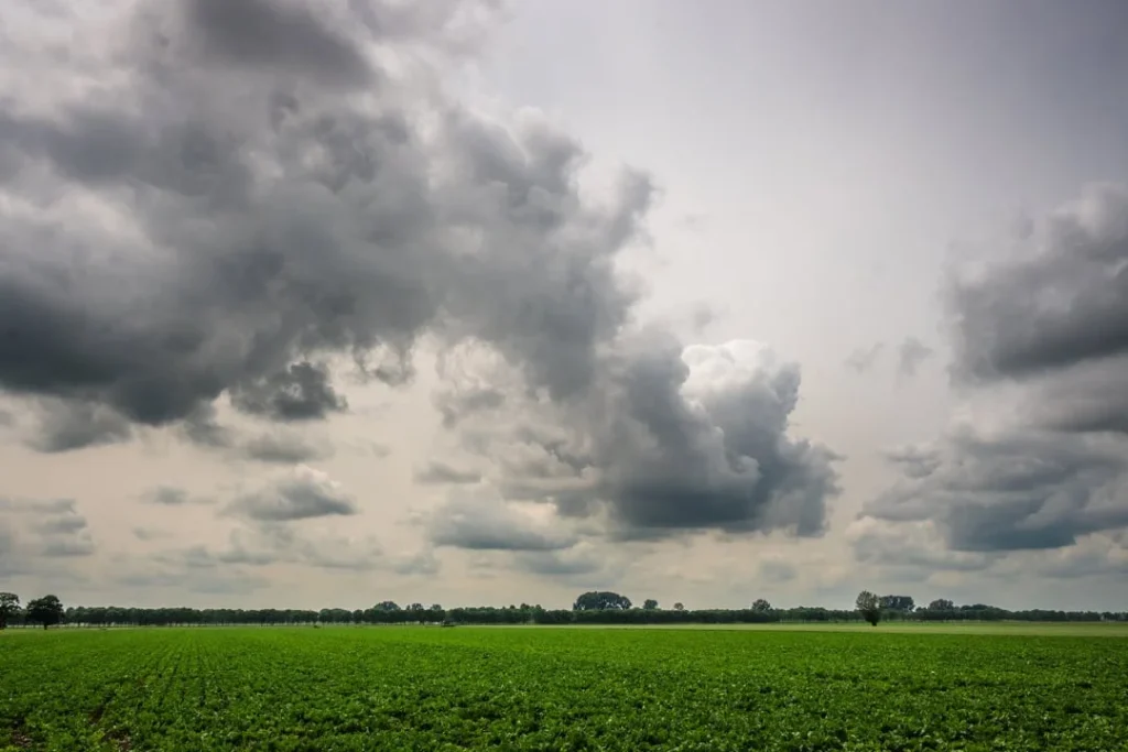 Limpopo thunderstorm warning Severe Storm Warning Limpopo Heatwave Grips