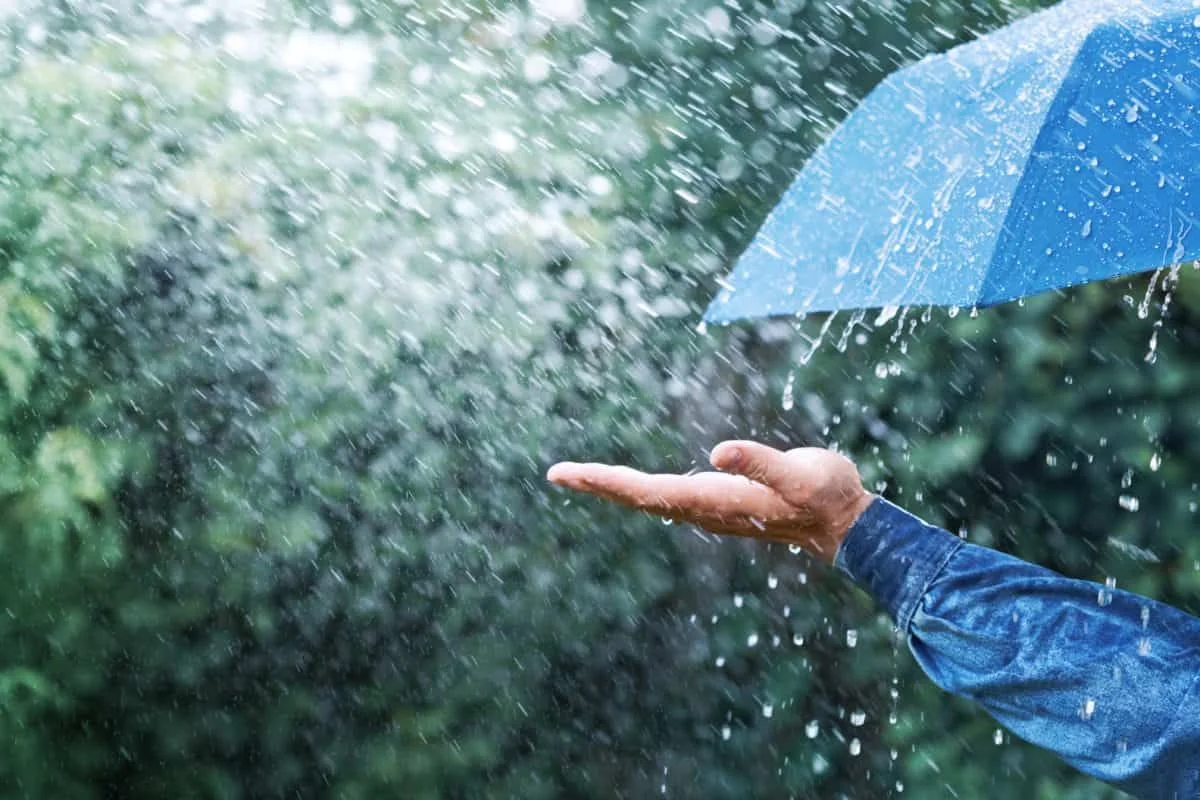 SA weather forecast Showers Cold Weather Expected Several Provinces