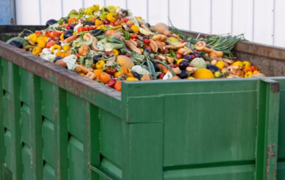 food waste South Africa Stellenbosch Professor Wants Ban Dumping Edible