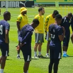 Sundowns Wiliete SC Sundowns Must Beat Wiliete Loftus Friday